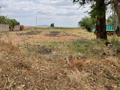 Residential Stand for Sale in Marlborough