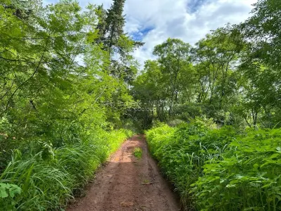 Residential Stand for Sale in Helensvale