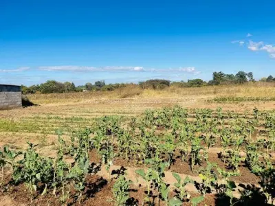 Farm/Plot for Sale in Ruwa