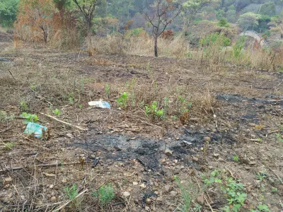 Residential Stand for Sale in Helensvale