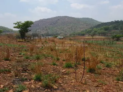 Farm/Plot for Sale in Arcturus