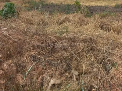 Residential Stand for Sale in Mabvazuva Estates