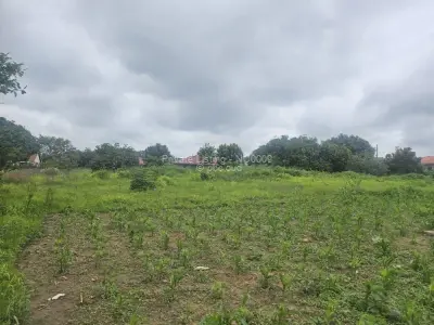 Residential Stand for Sale in Marimba Park