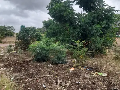 Residential Stand for Sale in Arcadia