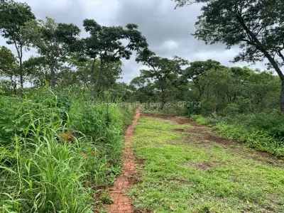 Residential Stand for Sale in Shawasha Hills