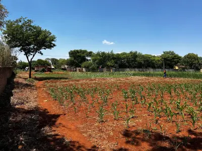 Residential Stand for Sale