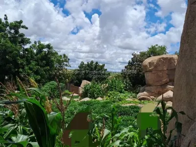 Residential Stand for Sale in Chitungwiza