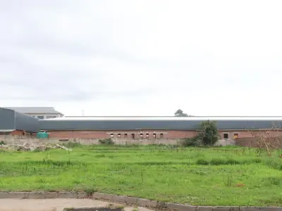 Commercial Stand for Sale in Msasa