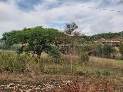 Residential Stand for Sale