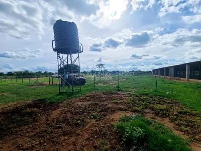 Farm/Plot for Sale in Montgomery