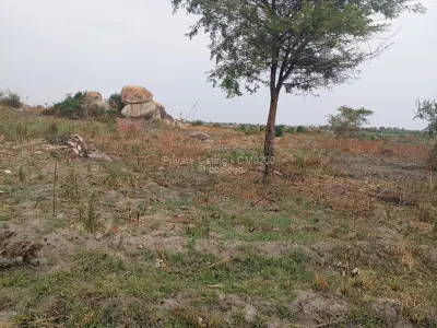 Farm/Plot for Sale in Zvimba