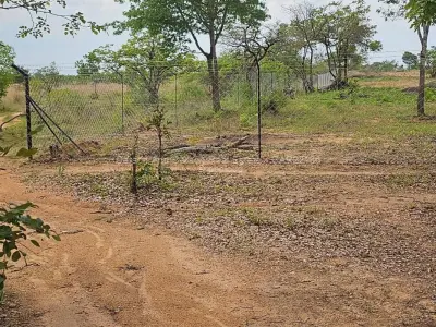 Farm/Plot for Sale in Donnington