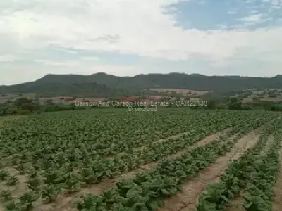 Farm/Plot for Sale in Home Fountain