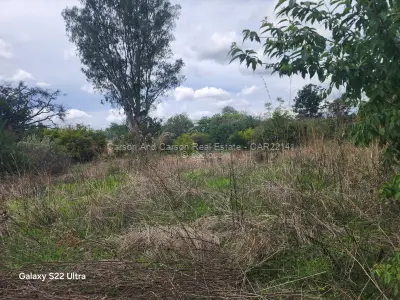 Residential Stand for Sale