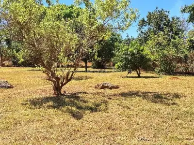 Residential Stand for Sale in Greystone Park