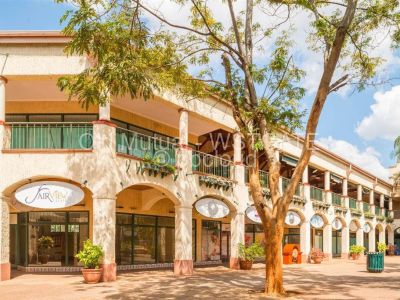 Commercial Property to Rent in Westgate, Harare Propertybook