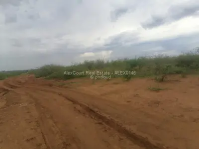 2-hectare (5-acre) Plot Up For Grabs!