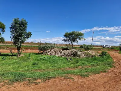 Commercial Stand for Sale in Glen Forest