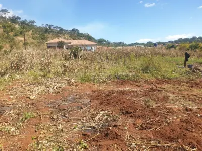 Residential Stand for Sale in Crowhill Views