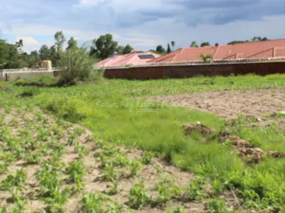 Residential Stand for Sale in Hatfield