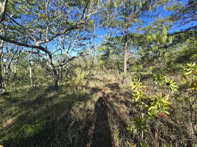 Residential Stand for Sale in Juliasdale