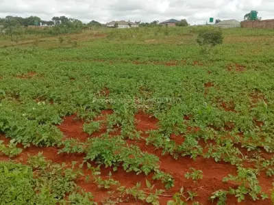 Residential Stand for Sale in Glen Forest