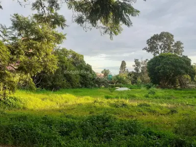 Residential Stand for Sale in Haig Park