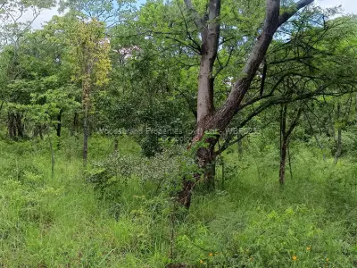 Farm/Plot for Sale in Chegutu