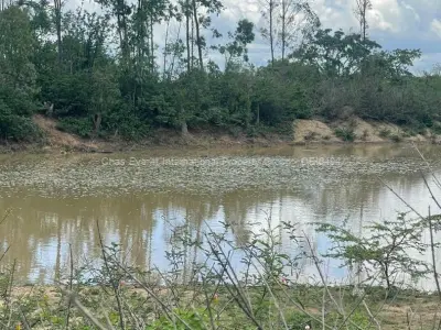 Farm/Plot for Sale in Gumtree