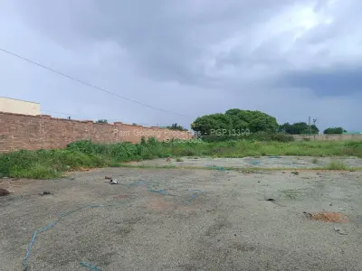 Commercial Stand for Sale in Ardbennie