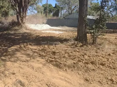 Farm/Plot for Sale in Woodville