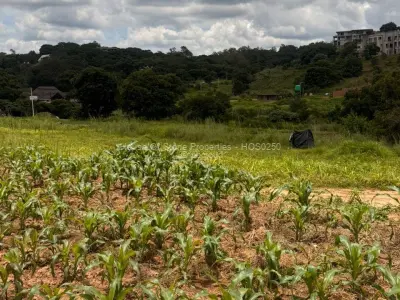 Residential Stand for Sale in Glen Lorne