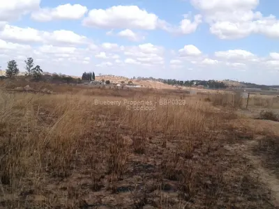 Commercial Stand for Sale in Spitzkop