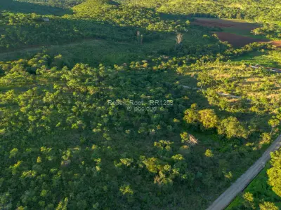 Farm/Plot for Sale in Glen Forest