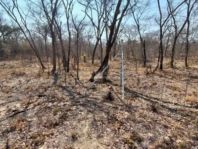 Farm/Plot for Sale in Chegutu