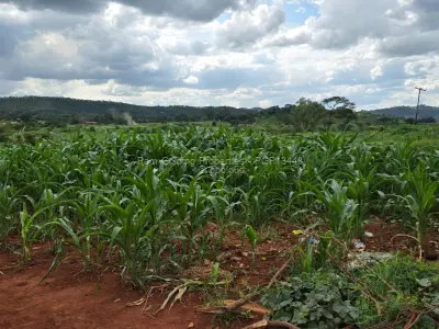 Residential Stand for Sale in Mazowe