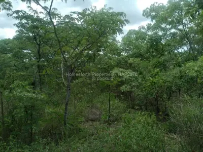 Residential Stand for Sale in Darwendale