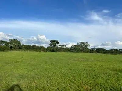 Farm/Plot for Sale in Chegutu