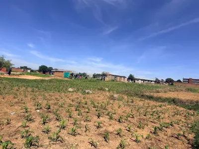 Residential Stand for Sale in Timire Park