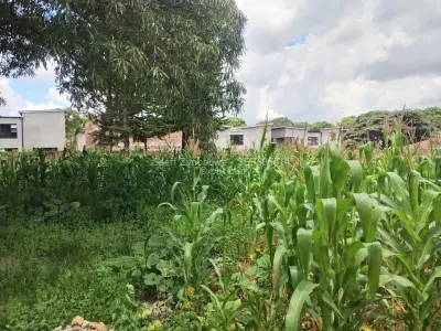 Residential Stand for Sale in Greendale