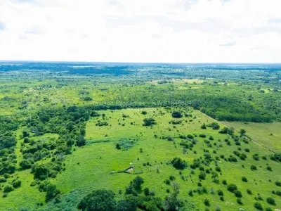 Industrial Stand for Sale in Kadoma