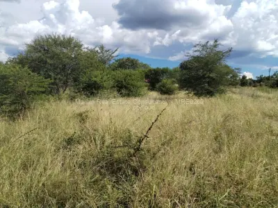 Residential Stand for Sale in Lochview