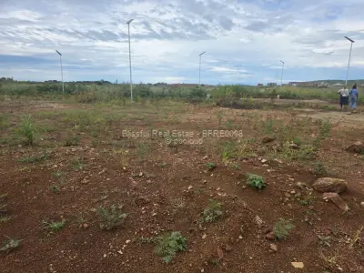 Rainham Park Stand For Sale