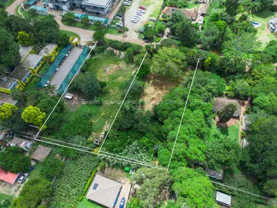 Commercial Stand for Sale in Belgravia