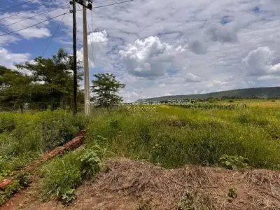 Farm/Plot for Sale in Norton
