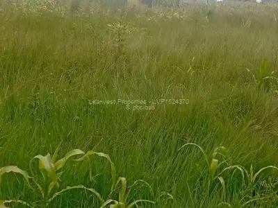 Residential Stand for Sale in Norton