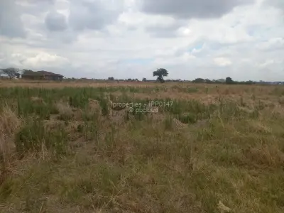 Farm/Plot for Sale in Rainham