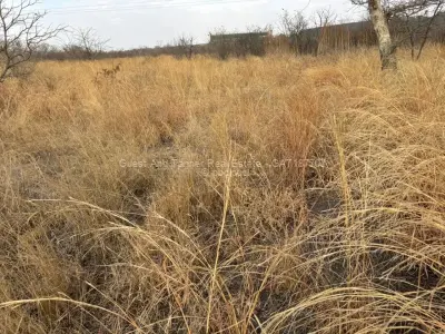 Commercial Stand for Sale in Kwekwe