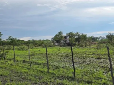 Choice Of 3 Commercial Stands In Kadoma