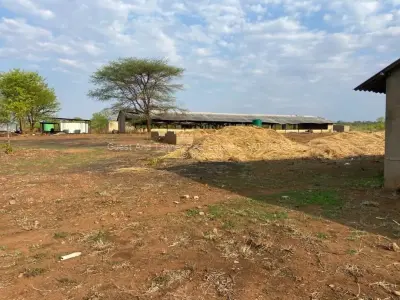 Farm/Plot for Sale in Victoria Falls
